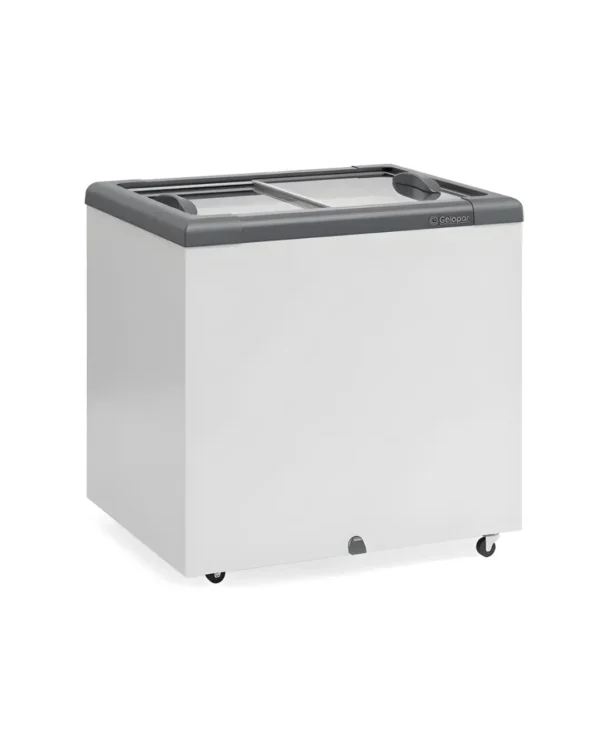 AnyConv.com__ghd-200 Freezer Horizontal Ghd200h 200 Litros 220v - Gelopar